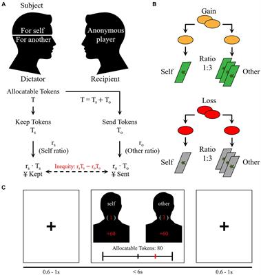 Common and distinct equity preferences in children and adults